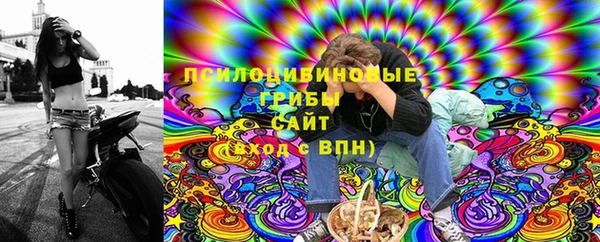 дживик Алексин