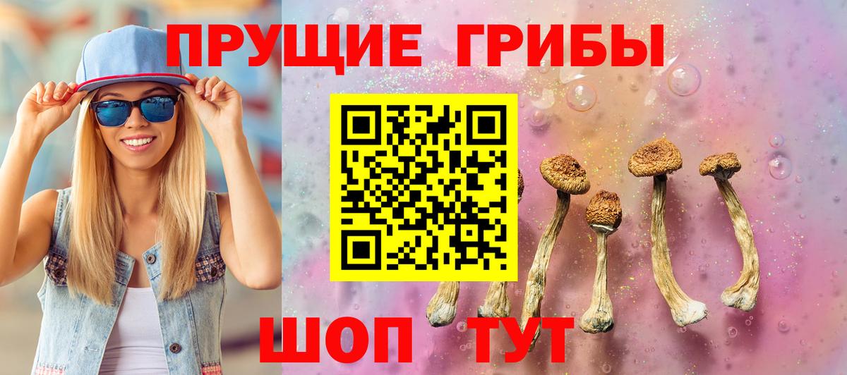 Псилоцибиновые грибы прущие грибы Краснотурьинск